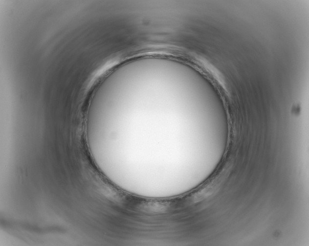 X0000091861411200709050947