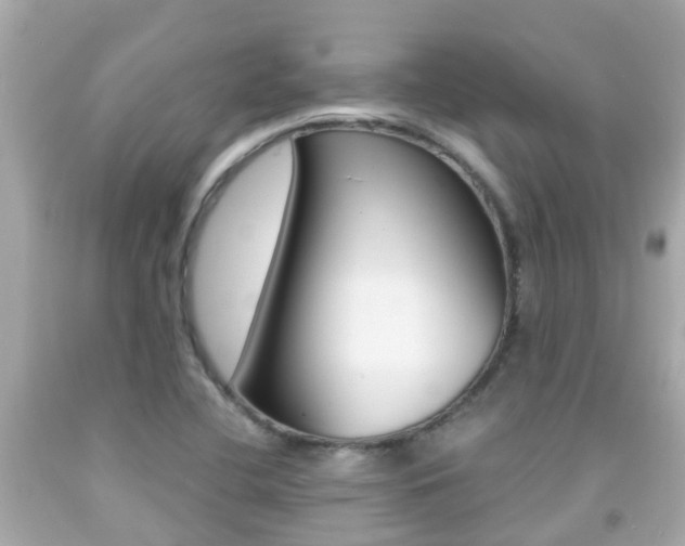 X0000091861412200709050947