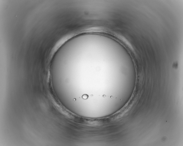 X0000091861413200709050947