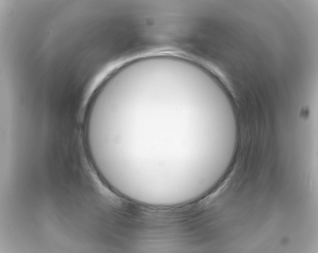 X0000091861414200709050947