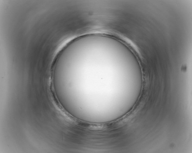 X0000091861415200709050947