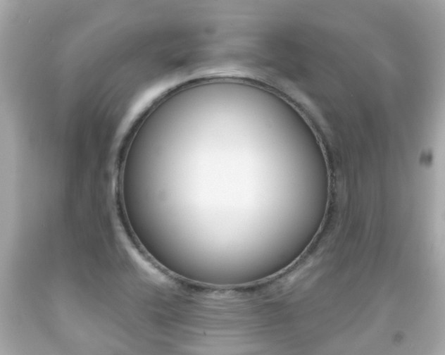 X0000091861416200709050947