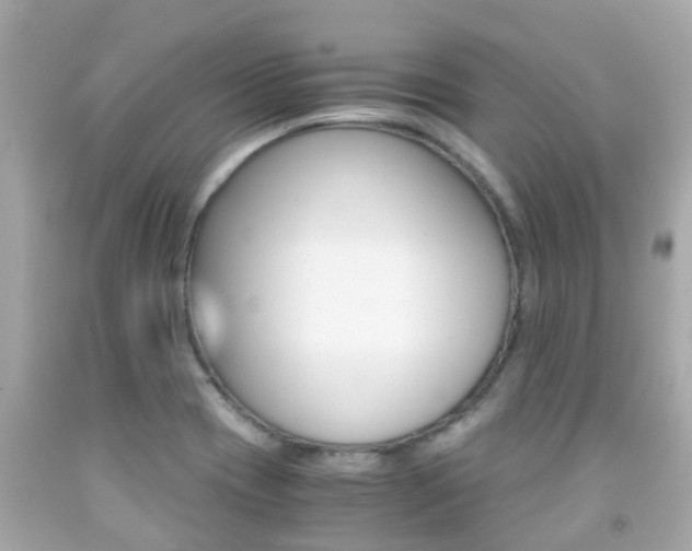 X0000091861417200709050947