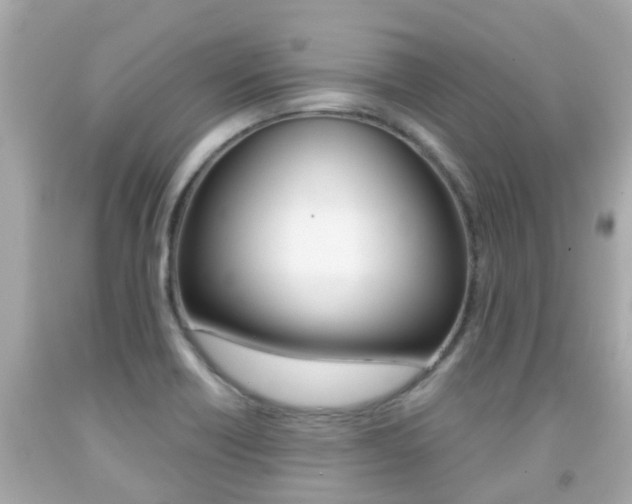 X0000091861418200709050947
