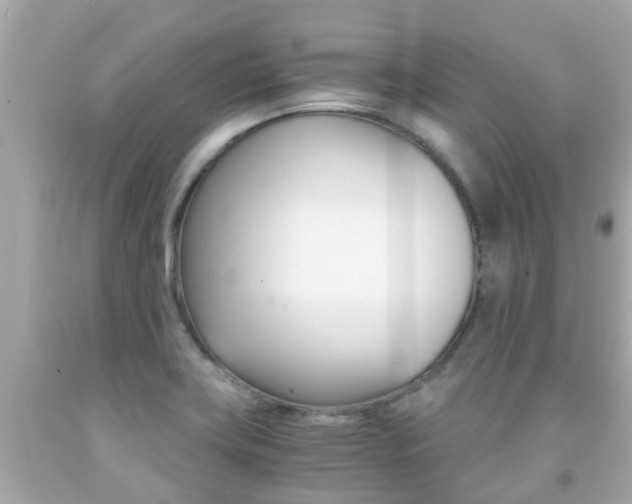X0000091861419200709050947
