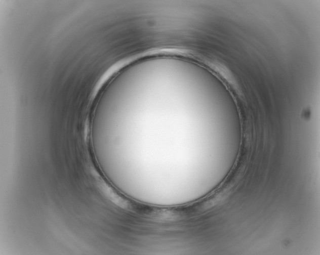 X0000091861420200709050947