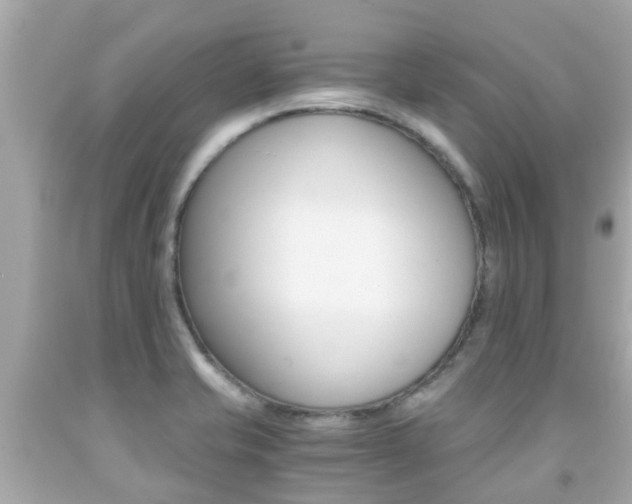 X0000091861421200709050947