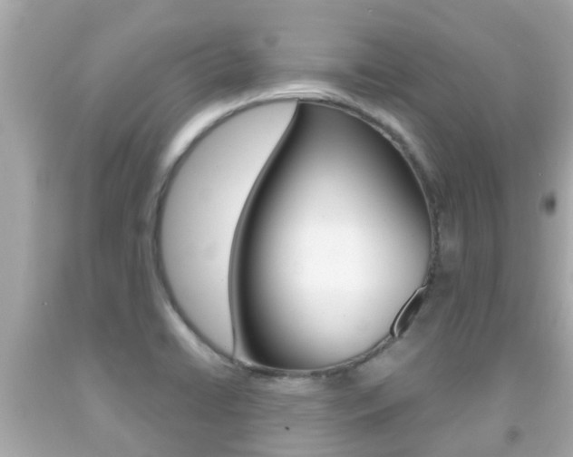 X0000091861422200709050947