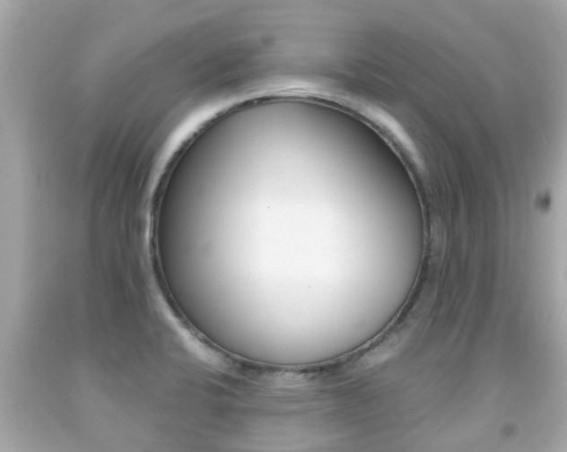 X0000091861424200709050947