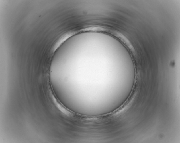 X0000091861425200709050947