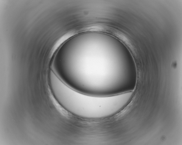 X0000091861426200709050947