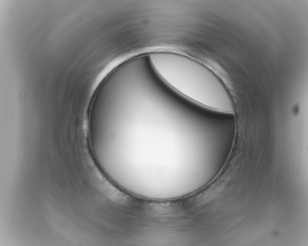 X0000091861428200709050947