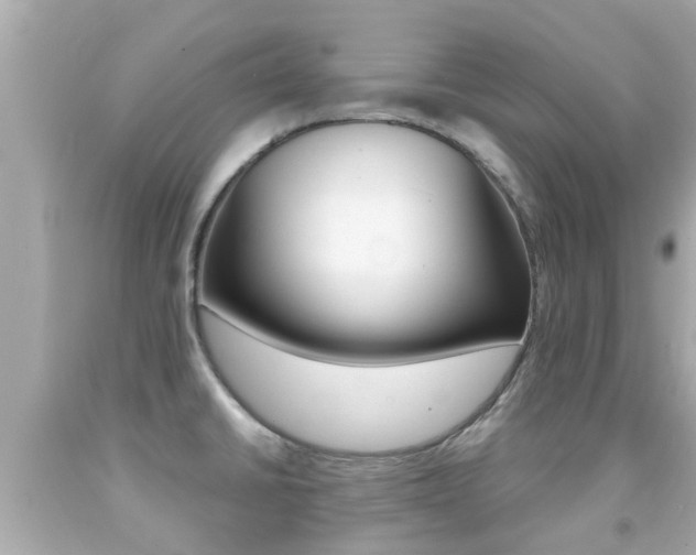 X0000091861430200709050947