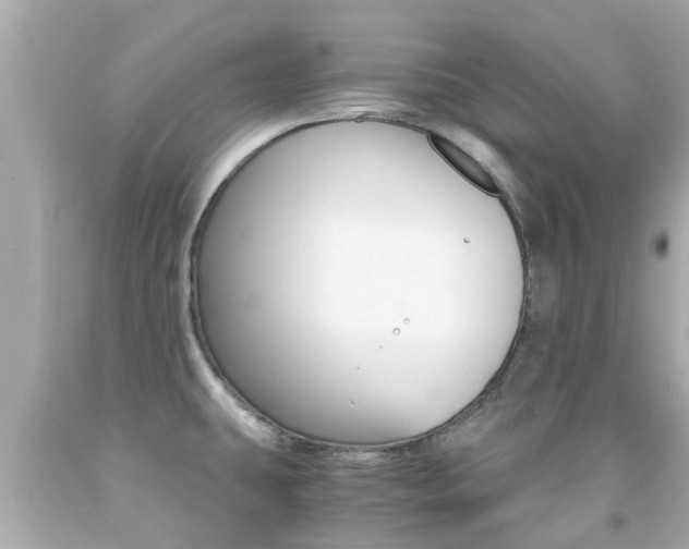 X0000091861431200709050947
