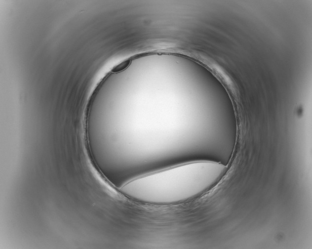 X0000091861432200709050947