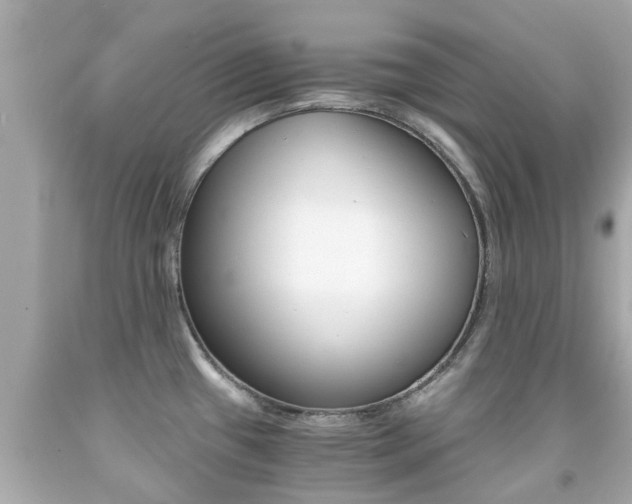 X0000091861433200709050947