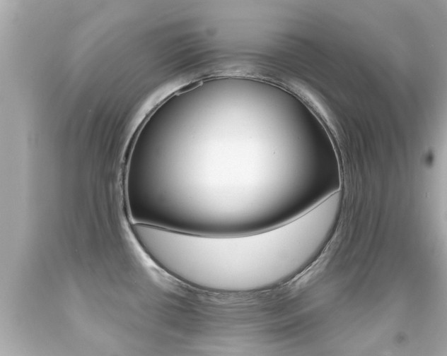 X0000091861434200709050947