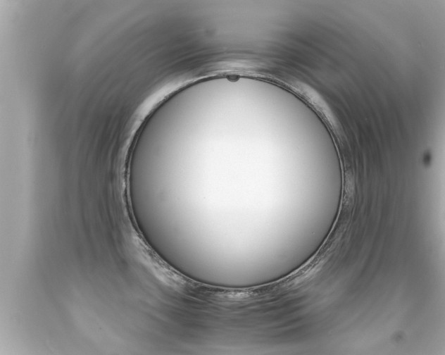 X0000091861435200709050947