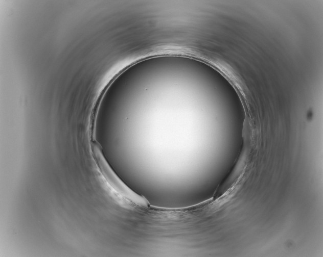 X0000091861438200709050947