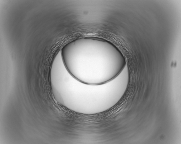 X0000091861441200709050947