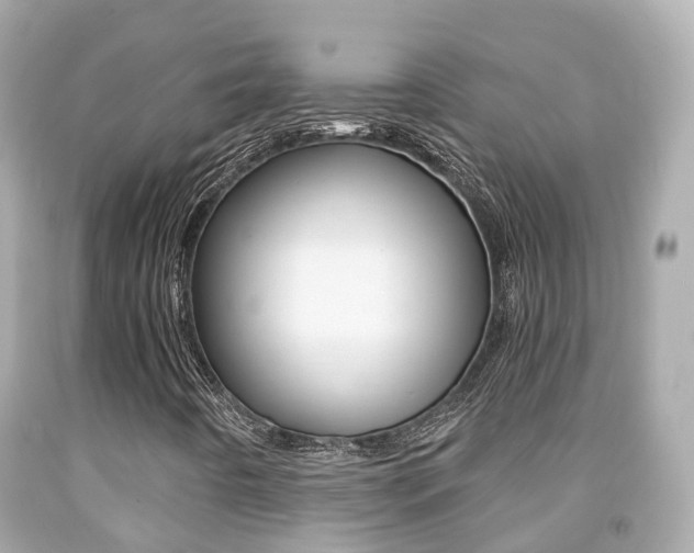 X0000091861442200709050947