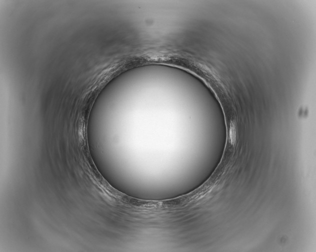 X0000091861444200709050947
