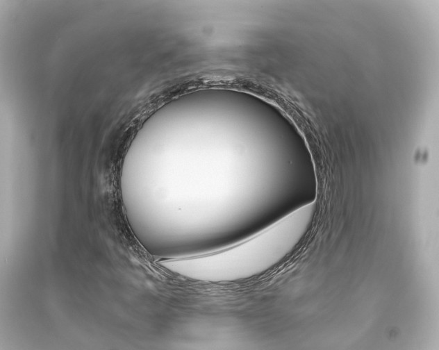 X0000091861445200709050947