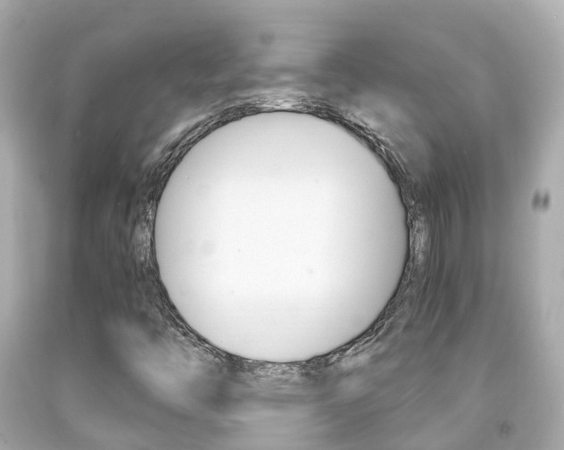 X0000091861446200709050947