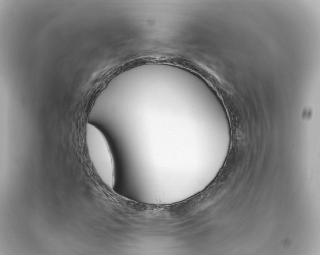 X0000091861447200709050947