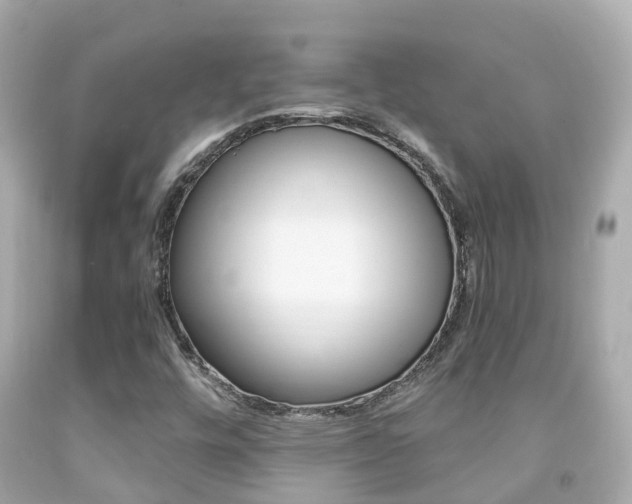 X0000091861448200709050947