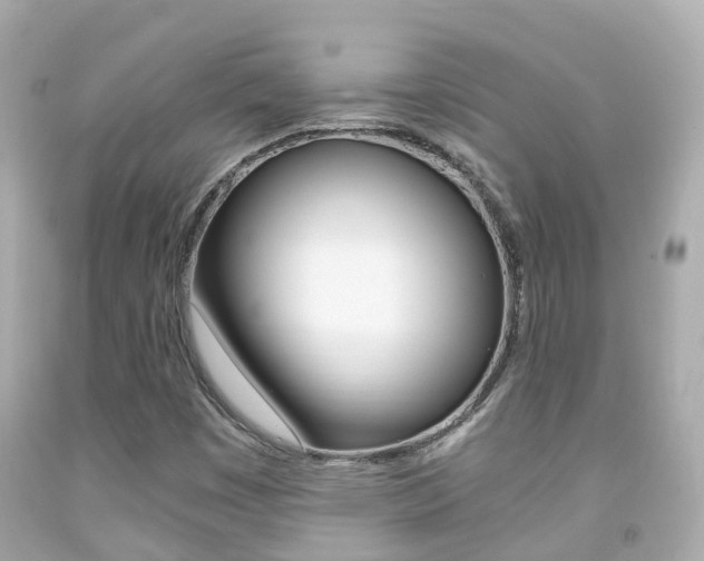 X0000091861449200709050947