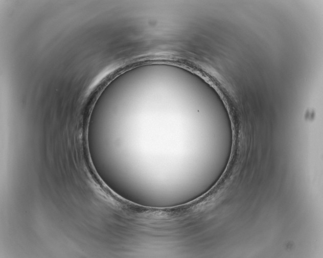 X0000091861450200709050947