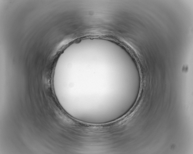 X0000091861451200709050947