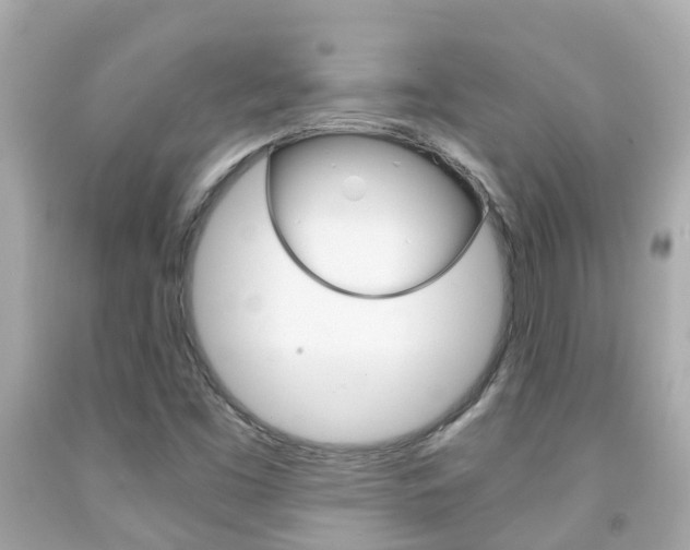 X0000091861453200709050947