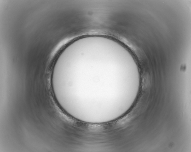 X0000091861454200709050947