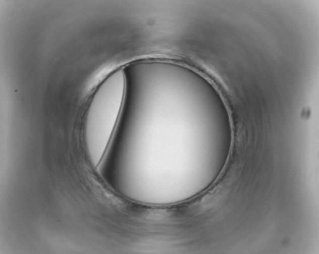 X0000091861455200709050947