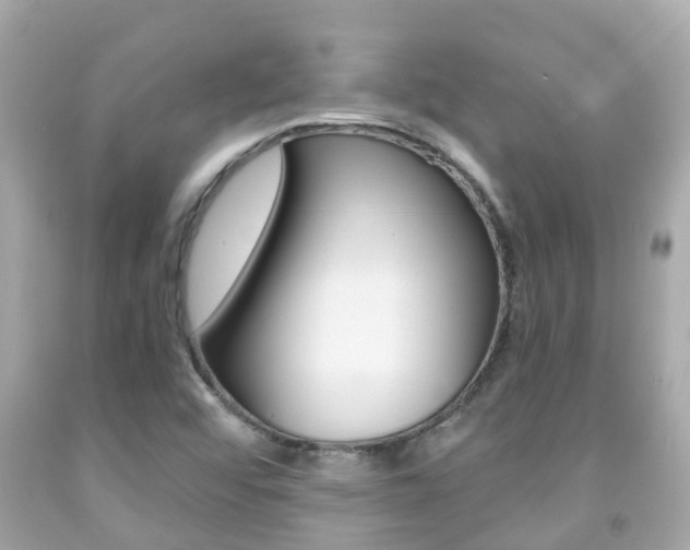 X0000091861456200709050947