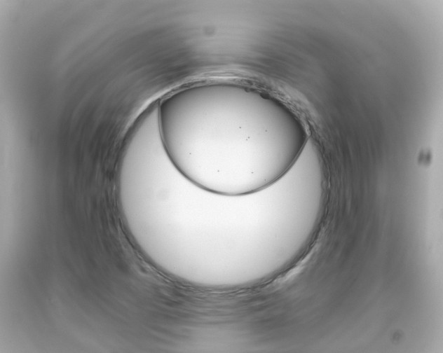X0000091861457200709050947