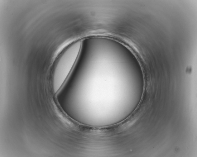 X0000091861458200709050947