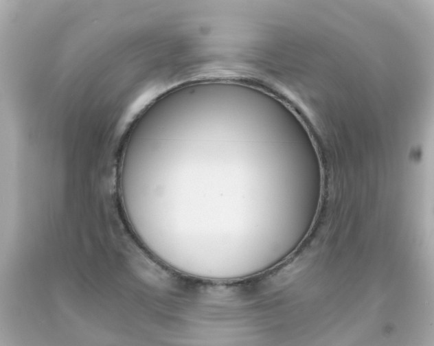 X0000091861459200709050947