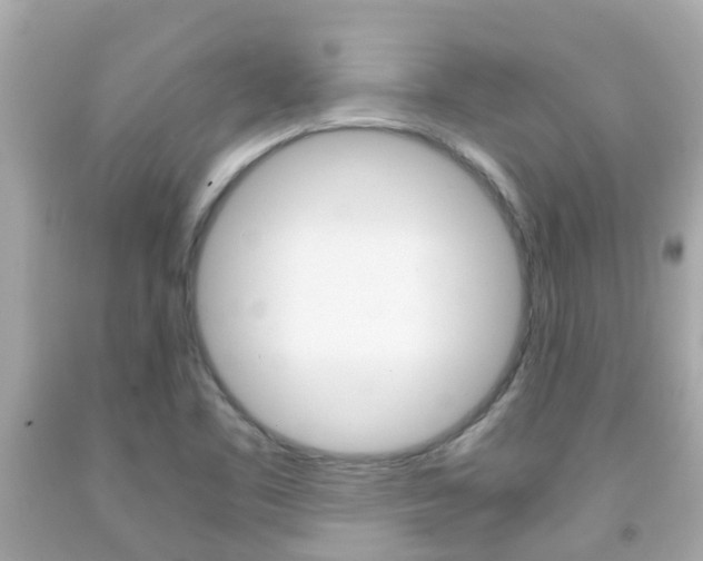 X0000091861461200709050947