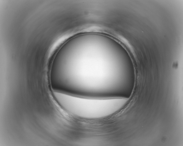 X0000091861464200709050946