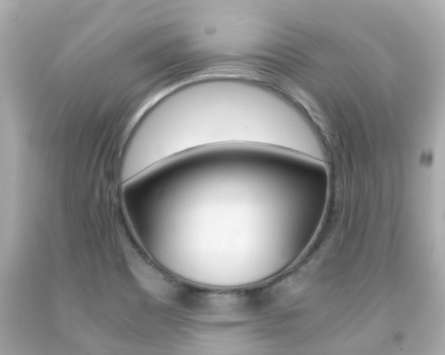 X0000091861465200709050946