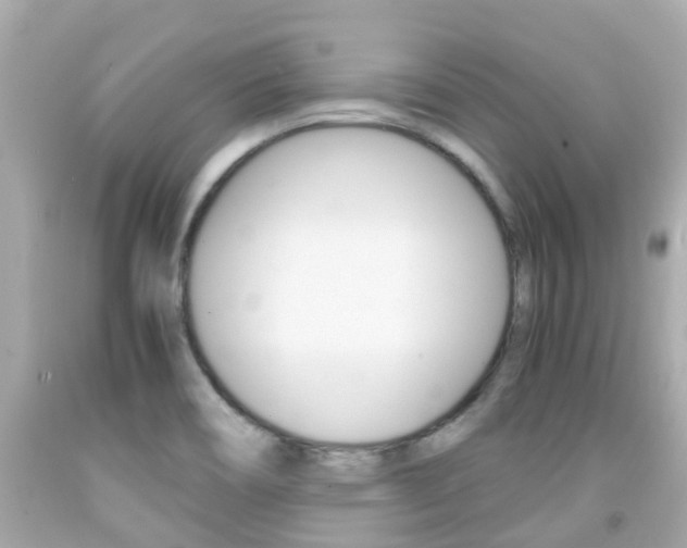 X0000091861466200709050946