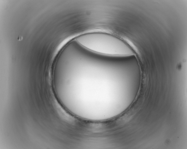 X0000091861468200709050946
