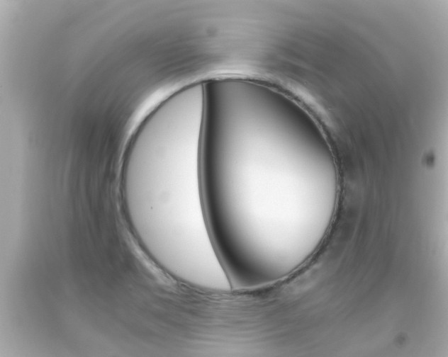 X0000091861469200709050946