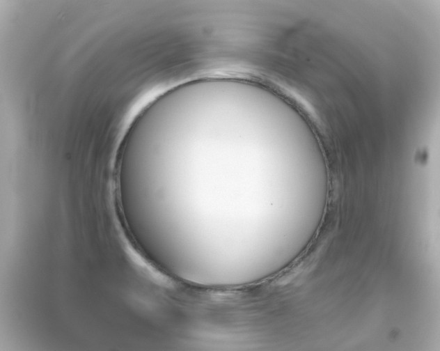 X0000091861471200709050946