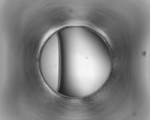 X0000091861472200709050946