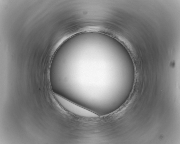 X0000091861473200709050946