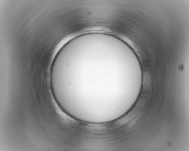 X0000091861474200709050946